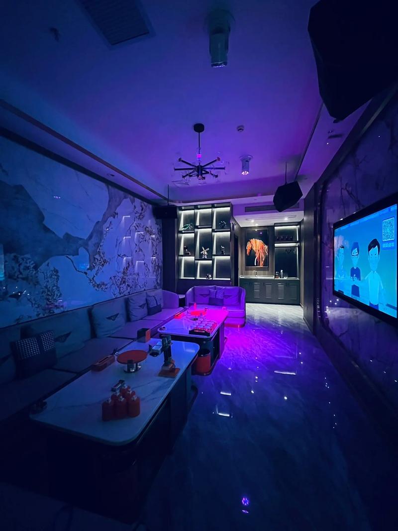 攀枝花商务ktv消费指南揭秘-仁和区ktv预定